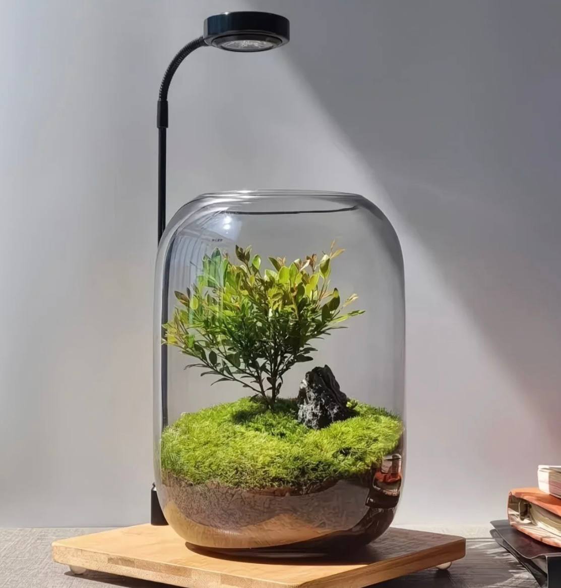 Terrarium Glass Vase